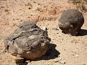 Tuba City Concretions