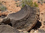 Tuba City Concretions