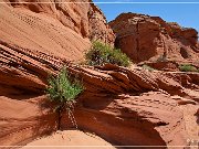 Waterholes Canyon