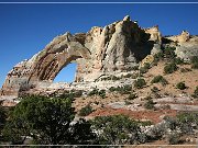White Mesa Arch