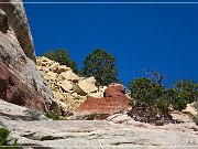 White Mesa Arch