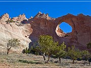 Window Rock