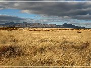 AZ 186