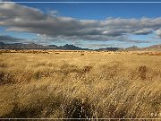 AZ 186
