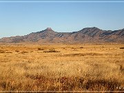AZ 186