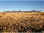 AZ 186