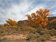 az_264_08