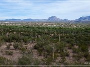 AZ 76