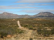 AZ 80