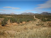 AZ 80