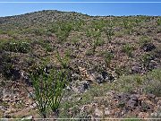 Crown King Road