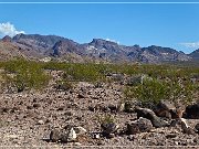 Oatman Hwy