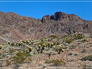Oatman Hwy