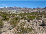 Oatman Hwy