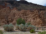 Shea Road