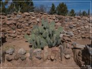 Besh-Ba-Gowah Archaeological Park
