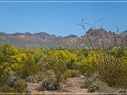 Apache Trail