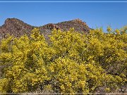 Apache Trail