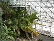 Biosphere One