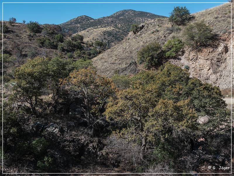 Box Canyon Road