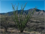 Box Canyon Road