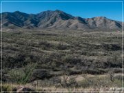 Box Canyon Road