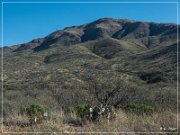 Box Canyon Road
