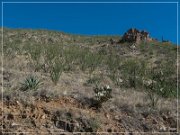 Box Canyon Road