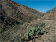 Box Canyon Road