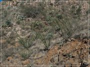 Box Canyon Road