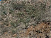 box_canyon_road_20