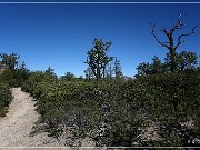 Chiricahua NM