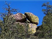 Chiricahua NM
