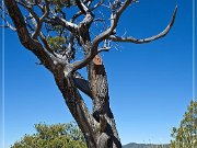 Chiricahua NM