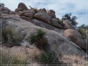 Council Rock
