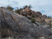 Council Rock