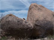 Council Rock