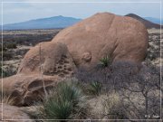Council Rock