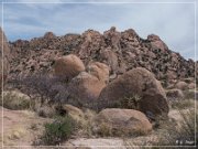 Council Rock