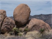 Council Rock