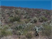 Geronimo Trail