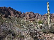 Hewitt Canyon Arch