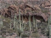 Hewitt Arch