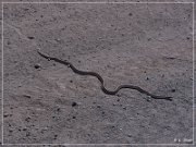 Hewitt Canyon Rd