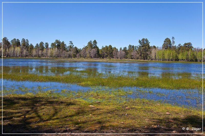 mogollon_rim_2010_05.jpg