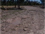 Mogollon Rim