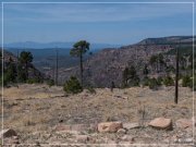 Mogollon Rim