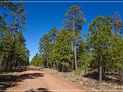 Mogollon Rim (2010)