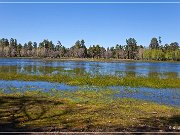 Mogollon Rim (2010)
