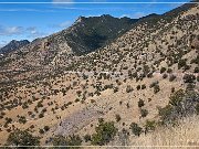Montezuma Pass